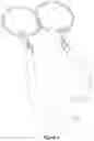 Fig. 08 - Pet Sling