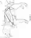 Fig. 02 - Restraint assembly for an animal