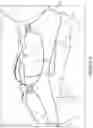Fig. 06 - Restraint assembly for an animal
