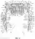 Fig. 05 - Tree stand and securement mechanism