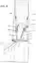 Fig. 07 - Tree stand and securement mechanism