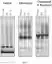 Fig. 02 - Compositions and methods for storing liquid biospecimens