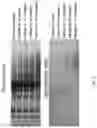 Fig. 03 - Compositions and methods for storing liquid biospecimens