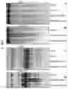 Fig. 04 - Compositions and methods for storing liquid biospecimens