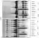 Fig. 05 - Compositions and methods for storing liquid biospecimens