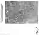 Fig. 08 - COMPOSITIONS AND METHODS FOR INDUCING CROP CHANGES BY LEVERAGING THE EFFECTS OF AN APPLIED AGRICULTURAL CHEMICAL