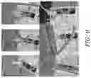 Fig. 09 - COMPOSITIONS AND METHODS FOR INDUCING CROP CHANGES BY LEVERAGING THE EFFECTS OF AN APPLIED AGRICULTURAL CHEMICAL
