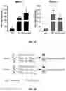 Fig. 02 - METHODS OF REDUCING NEMATODE INFECTION IN PLANTS