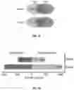 Fig. 03 - METHODS OF REDUCING NEMATODE INFECTION IN PLANTS