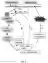 Fig. 16 - METHODS OF REDUCING NEMATODE INFECTION IN PLANTS