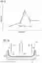 Fig. 09 - Device for the manufacture of sporting goods