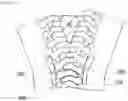 Fig. 09 - Slide fastener