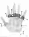 Fig. 03 - Industrial strength kitchen glove