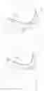 Fig. 01 - Cleaner