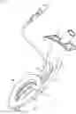 Fig. 01 - ENDOSCOPY DEVICE