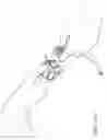 Fig. 05 - Endoscope for imaging in nonvisible light