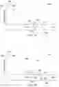 Fig. 10 - Shape discrimination vision assessment and tracking system