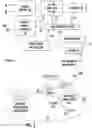 Fig. 03 - System and method of using ultrafast Raman spectroscopy and an ablative laser for quasi-real time removal of skin cancer and other anomalous tissues with clear tissue margins formed by array created displays