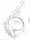 Fig. 19 - Blood pressure measurement device
