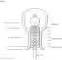 Fig. 02 - METHOD FOR DETECTING DISEASE USING HIGH RESOLUTION MANOMETRY, AND APPARATUS THEREOF
