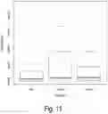 Fig. 12 - Method for the diagnosis of airway disease inflammatory subtype