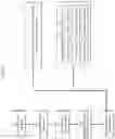 Fig. 03 - QUADRUPED LAMENESS DETECTION