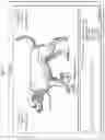 Fig. 04 - QUADRUPED LAMENESS DETECTION