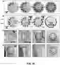 Fig. 28 - Soft, wearable microfluidic systems capable of capture, storage and sensing of biofluids