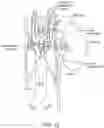Fig. 13 - Systems and methods for assessing sympathetic nervous system tone for renal neuromodulation therapy