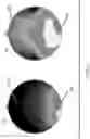 Fig. 07 - System for diagnosing mental disorders using neurometrics