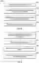 Fig. 32 - System and method of a biosensor for detection of microvascular responses