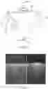 Fig. 02 - Three dimensional x-ray imaging system