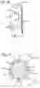 Fig. 06 - Knotless Suture Anchor for Soft Tissue Repair and Method of Use