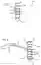 Fig. 08 - Knotless Suture Anchor for Soft Tissue Repair and Method of Use