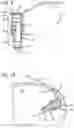 Fig. 09 - Knotless Suture Anchor for Soft Tissue Repair and Method of Use