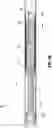 Fig. 31 - Surgical end effectors