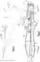 Fig. 02 - Surgical device with trigger operated needle