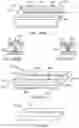 Fig. 192 - Systems and methods for increased operating room efficiency