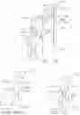 Fig. 35 - END EFFECTOR FOR USE WITH A SURGICAL FASTENING INSTRUMENT