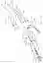 Fig. 52 - END EFFECTOR FOR USE WITH A SURGICAL FASTENING INSTRUMENT