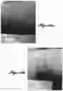 Fig. 19 - MICROSTRUCTURE-BASED WOUND CLOSURE DEVICES