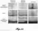 Fig. 26 - MICROSTRUCTURE-BASED WOUND CLOSURE DEVICES