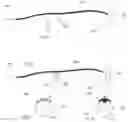 Fig. 04 - Surgical device with light