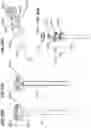 Fig. 46 - Replaceable inner tube