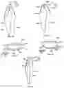 Fig. 04 - Dual aligner assembly