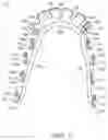 Fig. 02 - Dental appliances, systems and methods