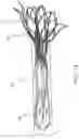 Fig. 18 - Prosthetic Mitral Valves And Apparatus And Methods For Delivery Of Same