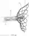Fig. 20 - Prosthetic Mitral Valves And Apparatus And Methods For Delivery Of Same