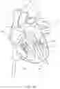 Fig. 47 - Prosthetic Mitral Valves And Apparatus And Methods For Delivery Of Same