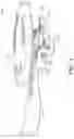 Fig. 05 - Prosthetic mitral valve holders